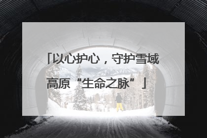 以心护心，守护雪域高原“生命之脉”