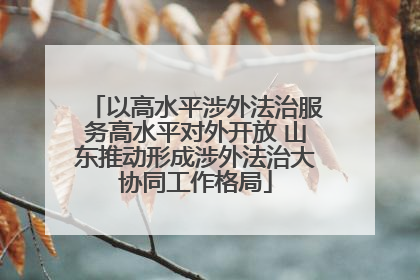 以高水平涉外法治服务高水平对外开放 山东推动形成涉外法治大协同工作格局