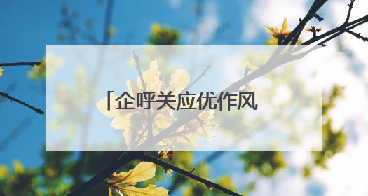 企呼关应优作风 创新赋能求实效（锲而不舍落实中央八项规定精神⑭）