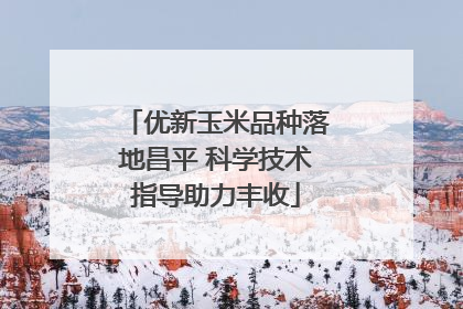 优新玉米品种落地昌平 科学技术指导助力丰收