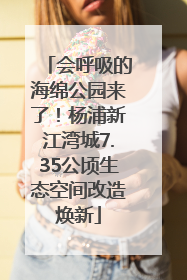 会呼吸的海绵公园来了！杨浦新江湾城7.35公顷生态空间改造焕新