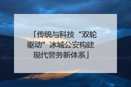 传统与科技“双轮驱动”冰城公安构建现代警务新体系