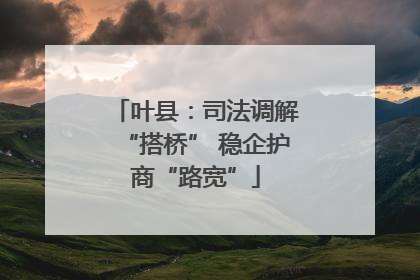 叶县：司法调解“搭桥” 稳企护商“路宽”