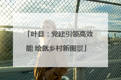 叶县：党建引领高效能 绘就乡村新图景