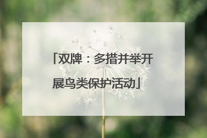 双牌：多措并举开展鸟类保护活动
