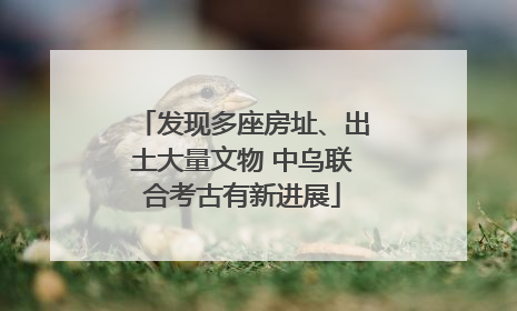 发现多座房址、出土大量文物 中乌联合考古有新进展