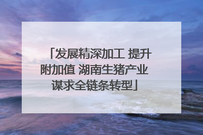 发展精深加工 提升附加值 湖南生猪产业谋求全链条转型