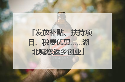 发放补贴、扶持项目、税费优惠……湖北喊您返乡创业