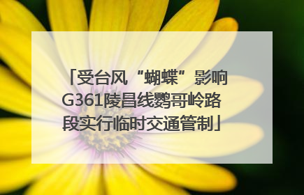受台风“蝴蝶”影响 G361陵昌线鹦哥岭路段实行临时交通管制