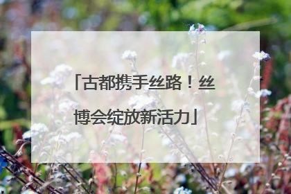 古都携手丝路！丝博会绽放新活力