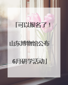 可以报名了！山东博物馆公布6月研学活动