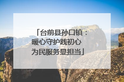 台前县孙口镇：暖心守护践初心 为民服务显担当