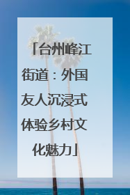 台州峰江街道：外国友人沉浸式体验乡村文化魅力