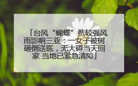 台风“蝴蝶”携较强风雨影响三亚：一女子被树砸倒送医，无大碍当天回家 当地已紧急清障