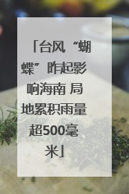 台风“蝴蝶”昨起影响海南 局地累积雨量超500毫米