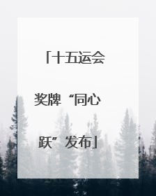 十五运会奖牌“同心跃”发布