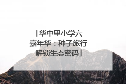 华中里小学六一嘉年华：种子旅行解锁生态密码