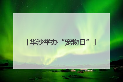 华沙举办“宠物日”