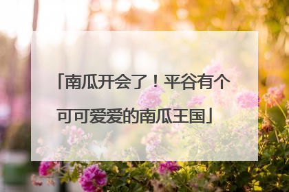 南瓜开会了！平谷有个可可爱爱的南瓜王国