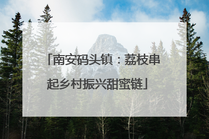 南安码头镇：荔枝串起乡村振兴甜蜜链
