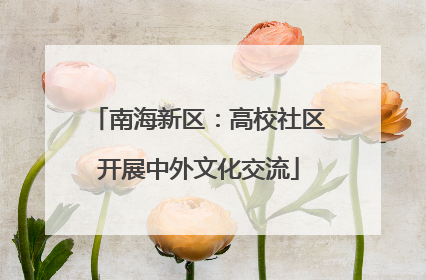 南海新区：高校社区开展中外文化交流