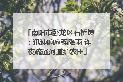 南阳市卧龙区石桥镇：迅速响应强降雨 连夜疏通河道护农田