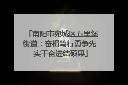 南阳市宛城区五里堡街道：奋楫笃行勇争先 实干奋进结硕果