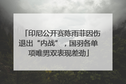 印尼公开赛陈雨菲因伤退出“内战”，国羽各单项唯男双表现差劲