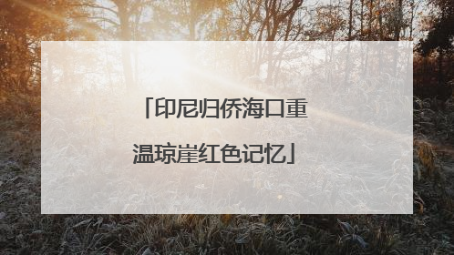 印尼归侨海口重温琼崖红色记忆