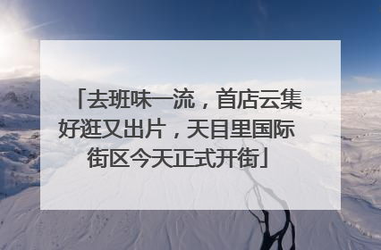 去班味一流，首店云集好逛又出片，天目里国际街区今天正式开街