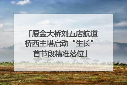 厦金大桥刘五店航道桥西主塔启动“生长” 首节段精准落位