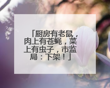厨房有老鼠，肉上有苍蝇，菜上有虫子，市监局：下架！