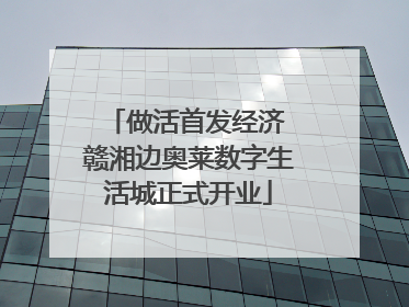 做活首发经济 赣湘边奥莱数字生活城正式开业