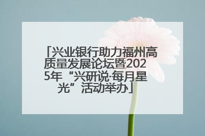 兴业银行助力福州高质量发展论坛暨2025年“兴研说·每月星光”活动举办