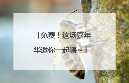 免费！这场嘉年华邀你一起嗨～