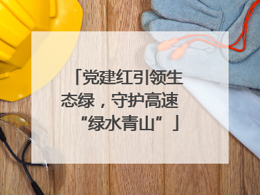 党建红引领生态绿，守护高速“绿水青山”