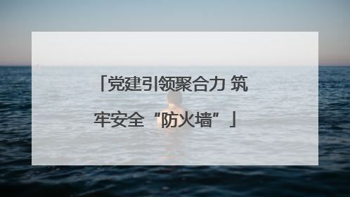 党建引领聚合力 筑牢安全“防火墙”
