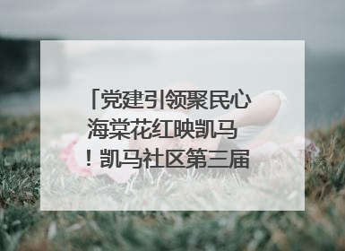 党建引领聚民心 海棠花红映凯马！凯马社区第三届邻里生活节谱写幸福新篇章