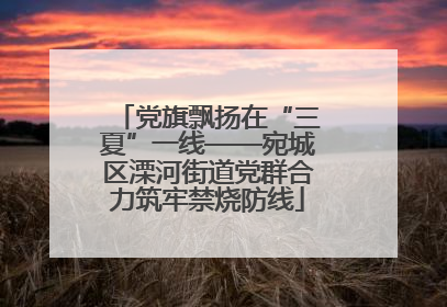 党旗飘扬在“三夏”一线——宛城区溧河街道党群合力筑牢禁烧防线