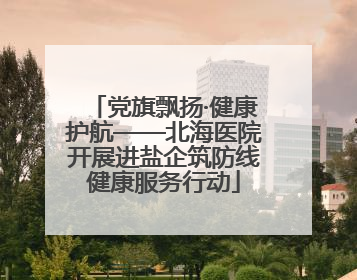 党旗飘扬·健康护航——北海医院开展进盐企筑防线健康服务行动
