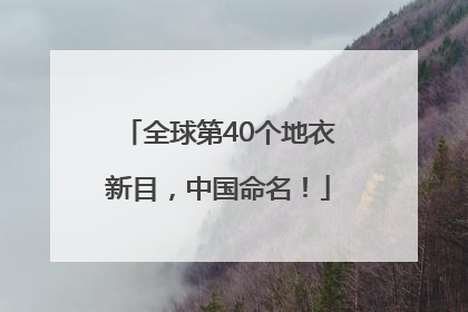 全球第40个地衣新目，中国命名！