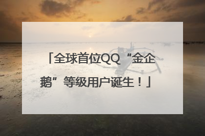 全球首位QQ“金企鹅”等级用户诞生！