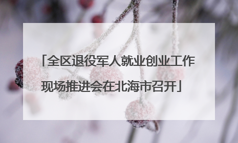全区退役军人就业创业工作现场推进会在北海市召开