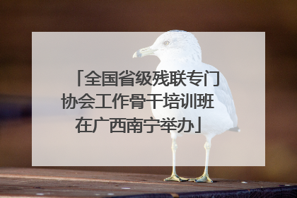 全国省级残联专门协会工作骨干培训班在广西南宁举办