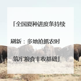 全国夏种进度条持续刷新：多地抢抓农时 筑牢粮食丰收基础