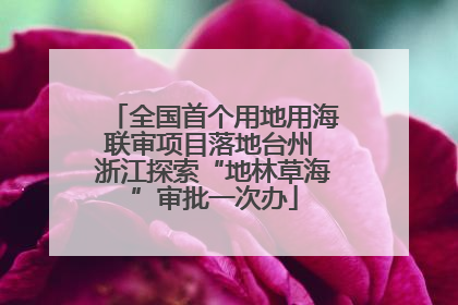 全国首个用地用海联审项目落地台州 浙江探索“地林草海”审批一次办