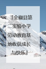 全椒县第二实验小学劳动教育基地收获成长与快乐