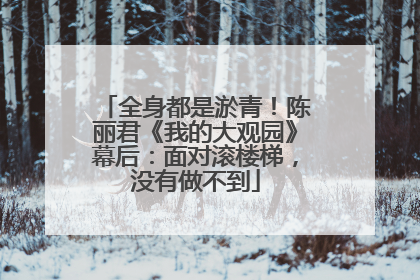 全身都是淤青！陈丽君《我的大观园》幕后：面对滚楼梯，没有做不到