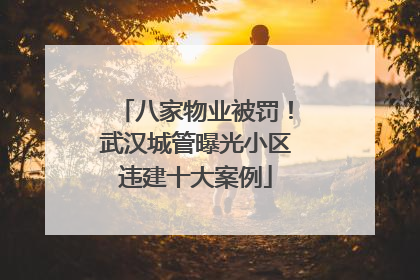 八家物业被罚！武汉城管曝光小区违建十大案例