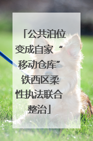 公共泊位变成自家“移动仓库” 铁西区柔性执法联合整治